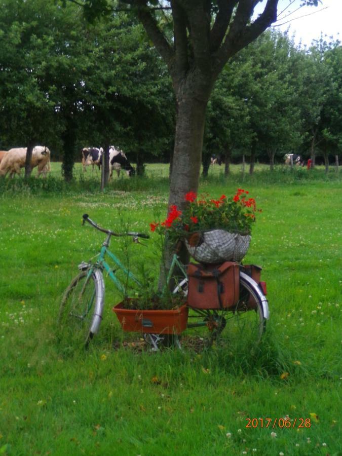 Camping Du Creulet Crouay Exterior foto