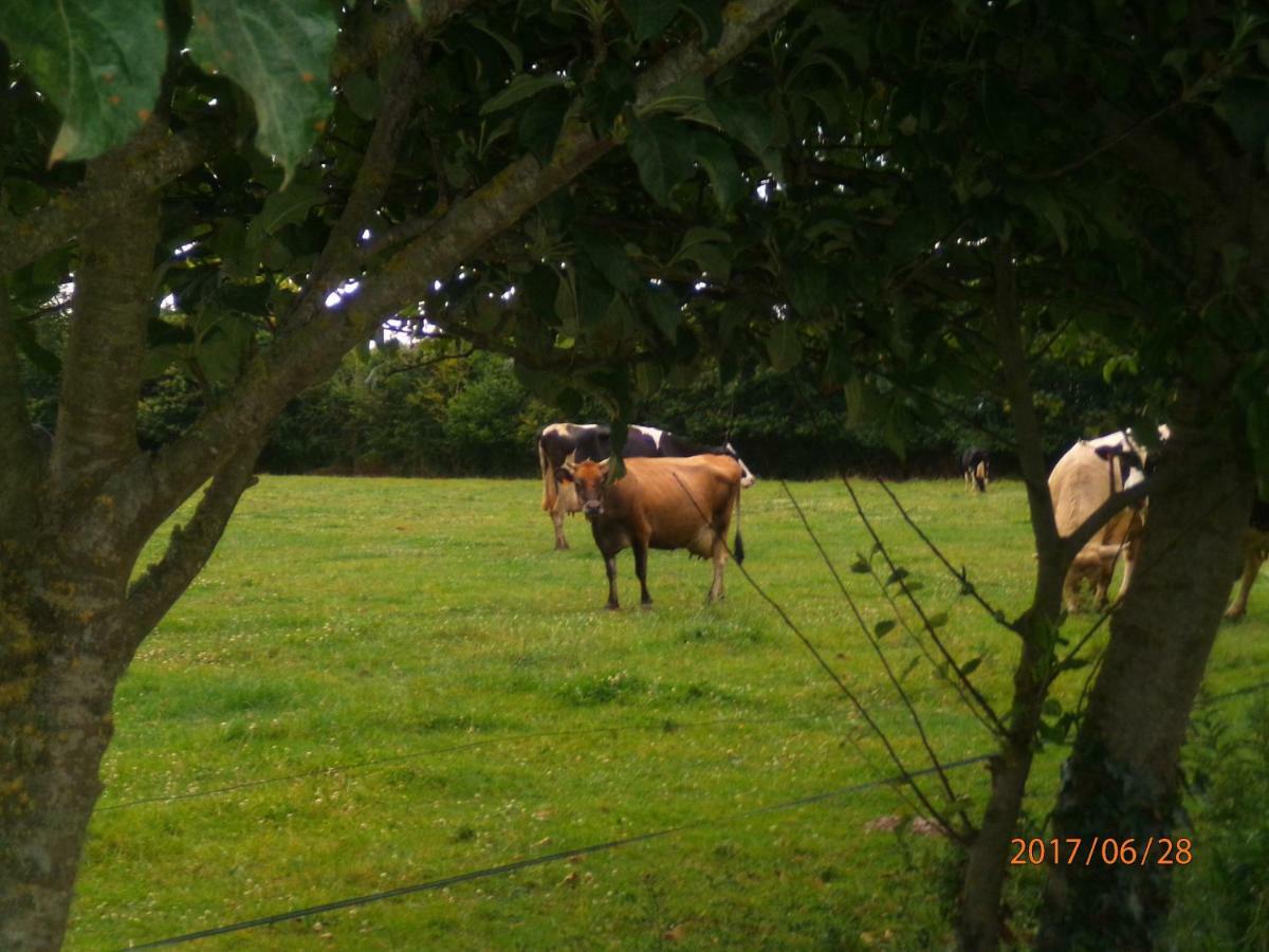 Camping Du Creulet Crouay Exterior foto